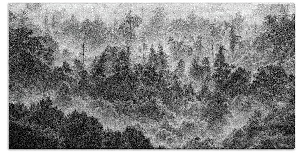 North Carolina Beach Towel featuring the photograph Foggy Treetops bw by Dan Carmichael