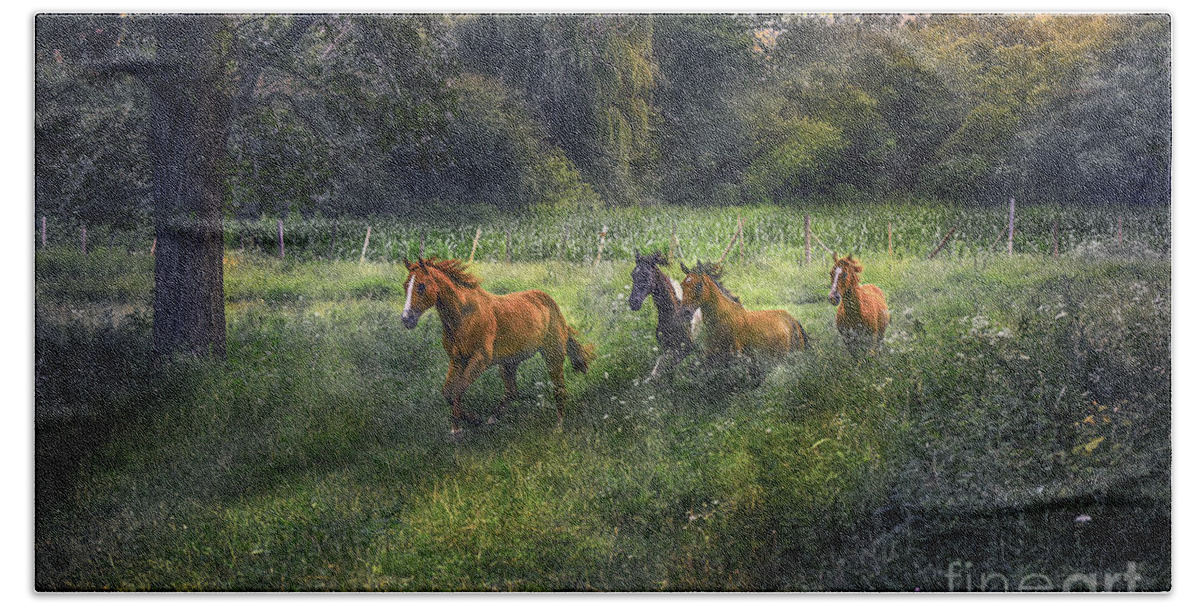 Horse Beach Towel featuring the photograph For Horses by Sandra Rust
