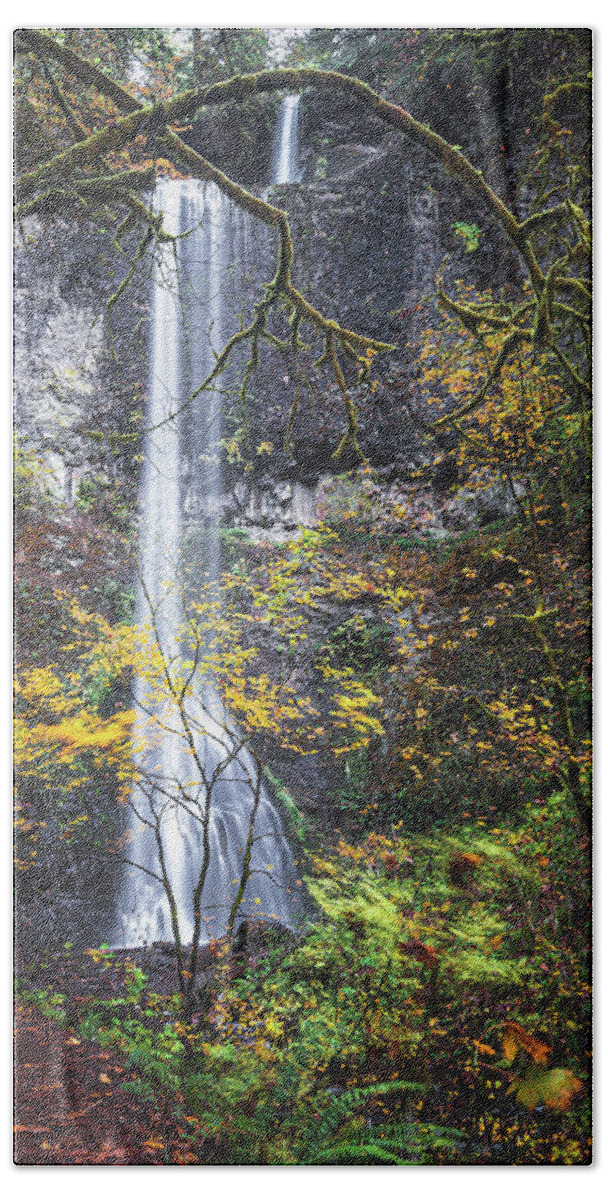 Forest Beach Towel featuring the photograph Forest Falls by Ryan Weddle