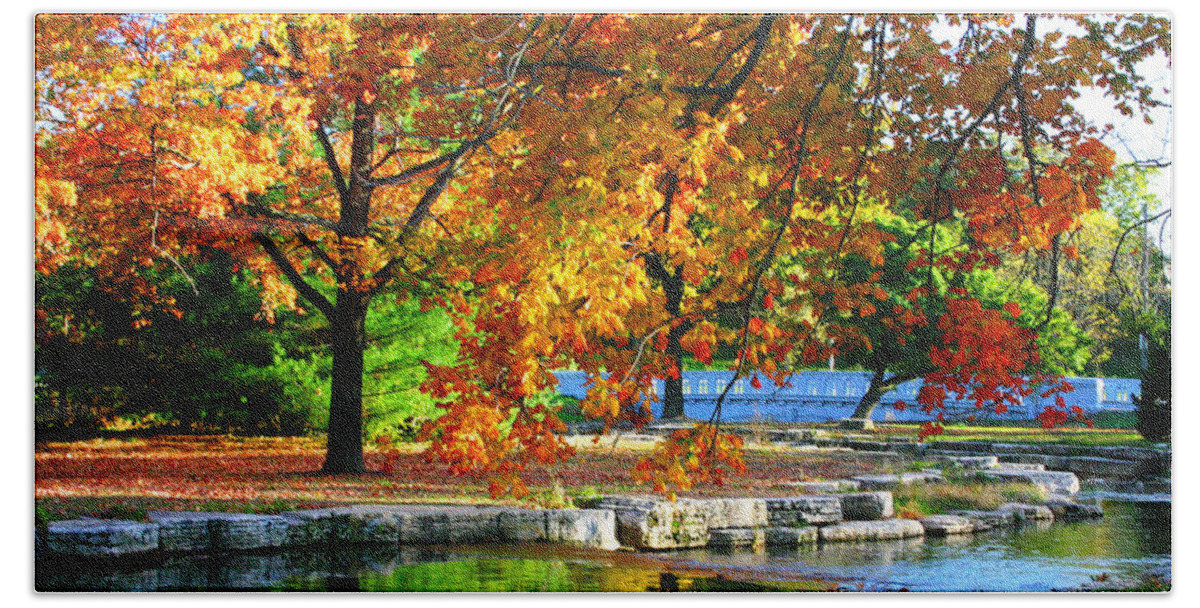 Landscape Beach Towel featuring the photograph Forest Park Fall Trees Color Stream Landscape by Patrick Malon