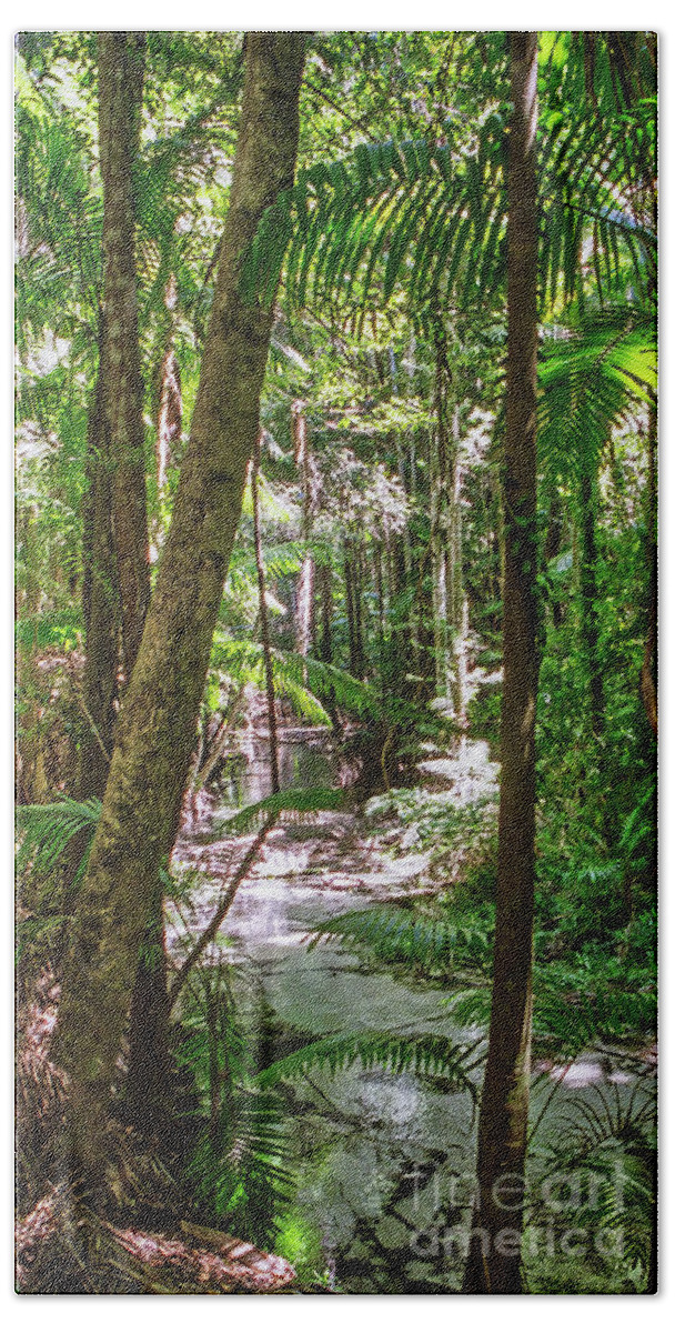 Rain Forest Beach Towel featuring the photograph Fraser Island Rain Forest by Frank Lee