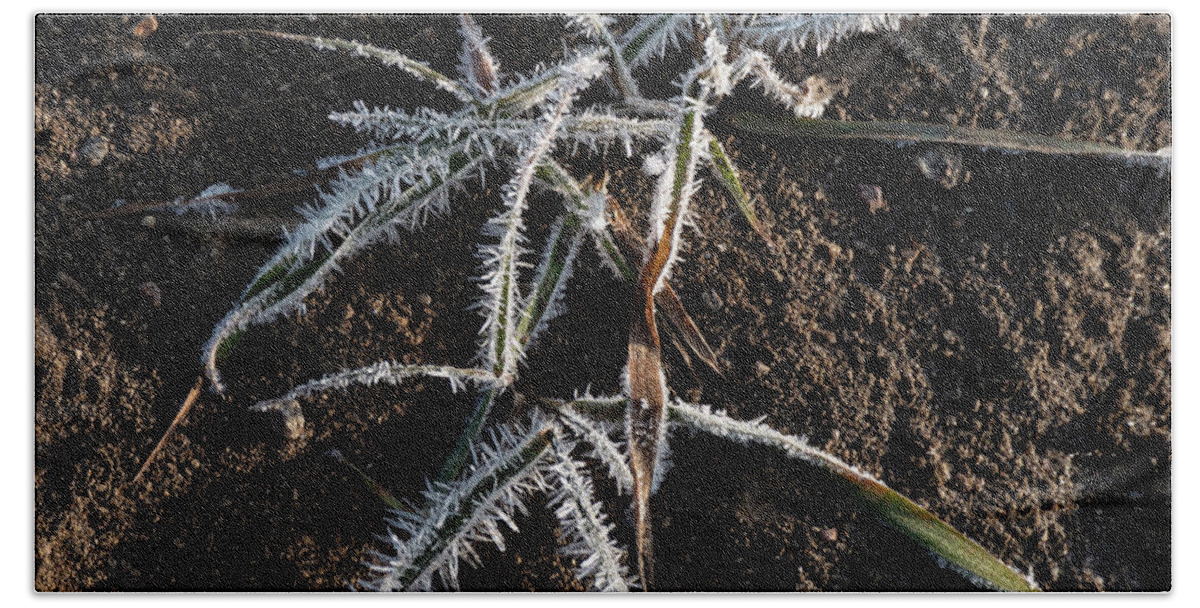 Frost Beach Towel featuring the photograph Frost On Crabgrass by Karen Rispin