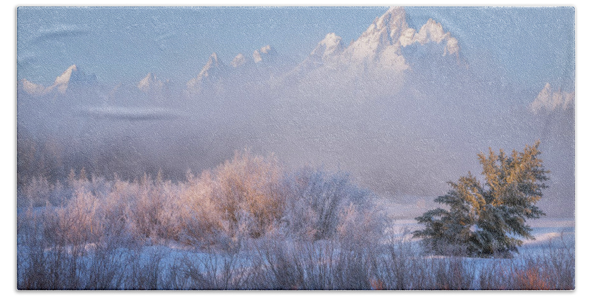 Winter Beach Towel featuring the photograph Frosted and Falling by Darren White