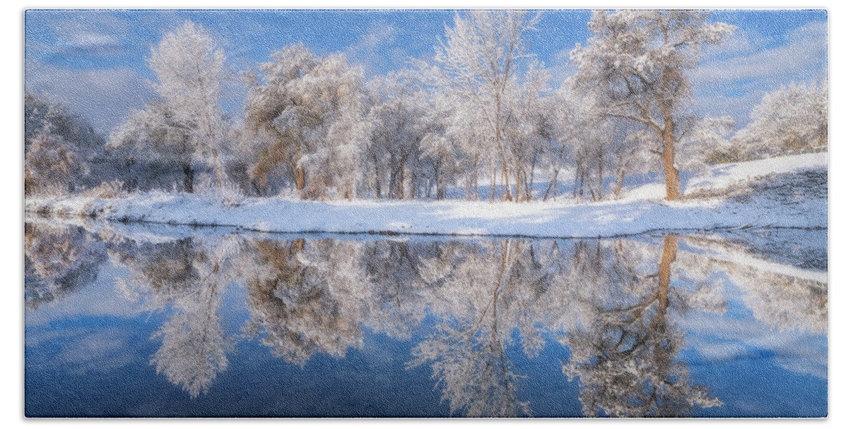 Winter Beach Sheet featuring the photograph Frosted Trees by Darren White