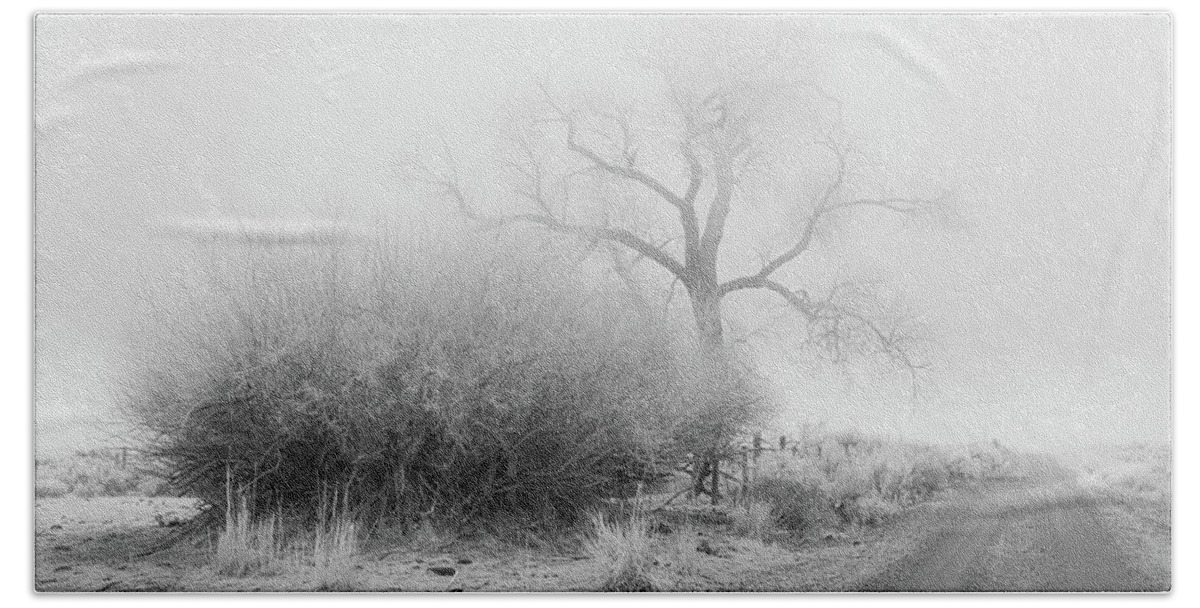 Nature Beach Towel featuring the photograph Frosty Cottonwood in Fog - Monochrome by Mike Lee