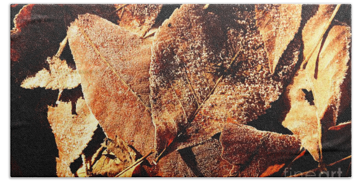Photography Beach Towel featuring the photograph Frosty Leaves by Larry Ricker