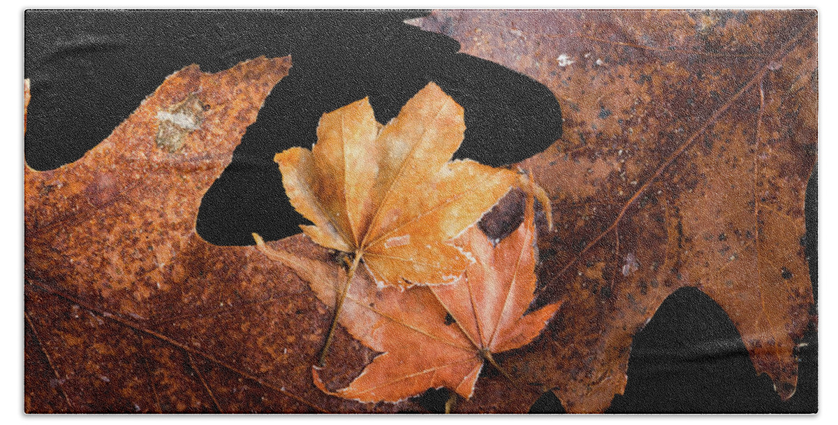 Leaves Beach Towel featuring the photograph Frosty Leaves Together by Gary Slawsky