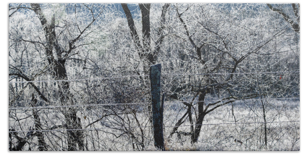 Cades Cove Beach Towel featuring the photograph Frozen Fence by Phil Perkins