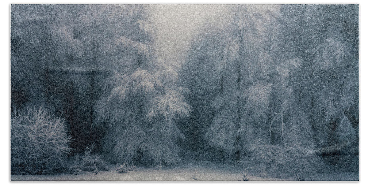Mountain Beach Towel featuring the photograph Frozen Forest by Evgeni Dinev