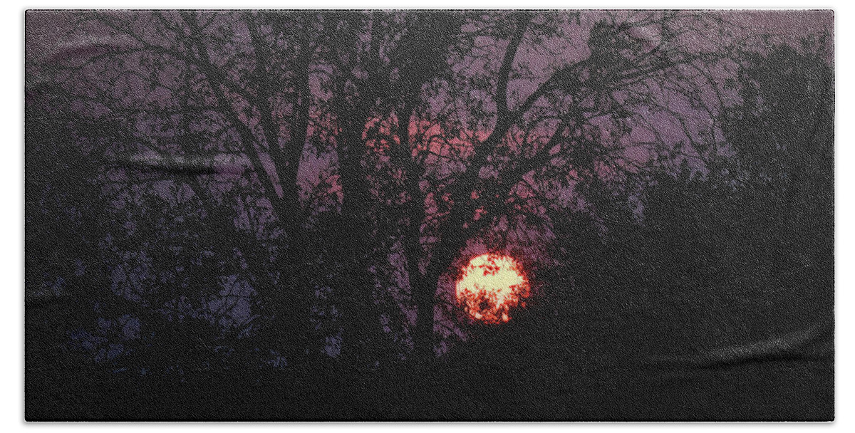 Tree Silhouettes Beach Towel featuring the photograph Full Moon and Tree Silhouettes by Pam Rendall