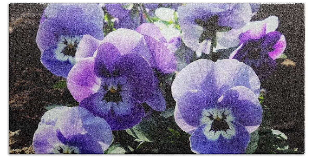 Pansy Flowering Beach Towel featuring the photograph Garden Faces by Mark Egerton