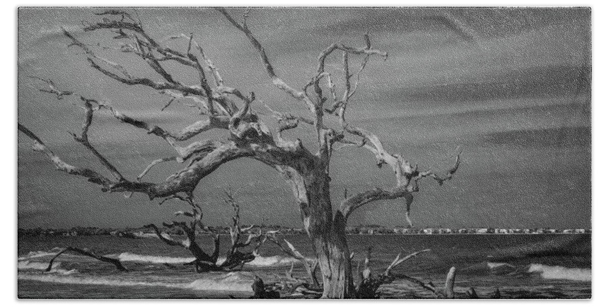 Monochrome Beach Towel featuring the photograph Ghost Tree by Stephen Sloan