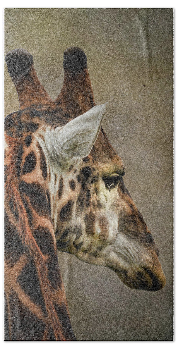 Giraffe Portrait Beach Towel featuring the photograph Giraffe by Rebecca Herranen