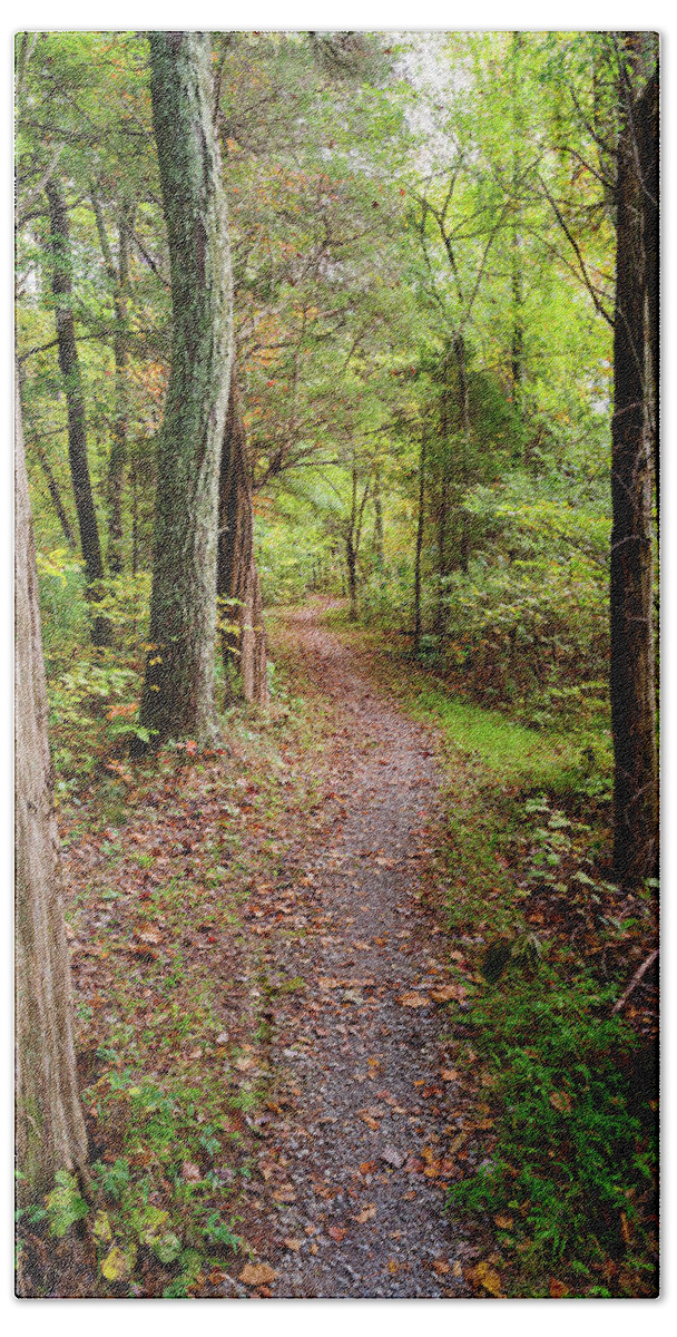 Trail Beach Towel featuring the photograph Glendale Trail by Grant Twiss