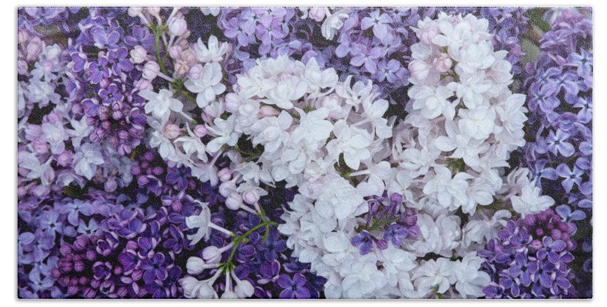 Face Mask Beach Towel featuring the photograph Glorious Lilacs by Theresa Tahara