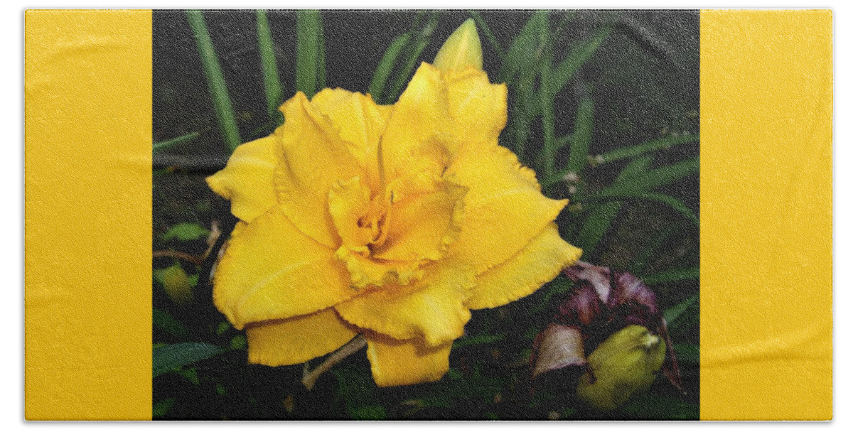 Flower Beach Towel featuring the photograph Gold Ruffled Day Lily by Nancy Ayanna Wyatt