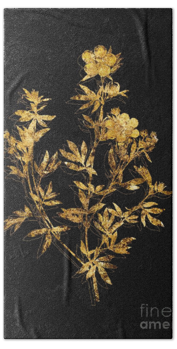 Vintage Beach Towel featuring the mixed media Gold Yellow Buttercup Flowers Botanical Illustration on Black by Holy Rock Design
