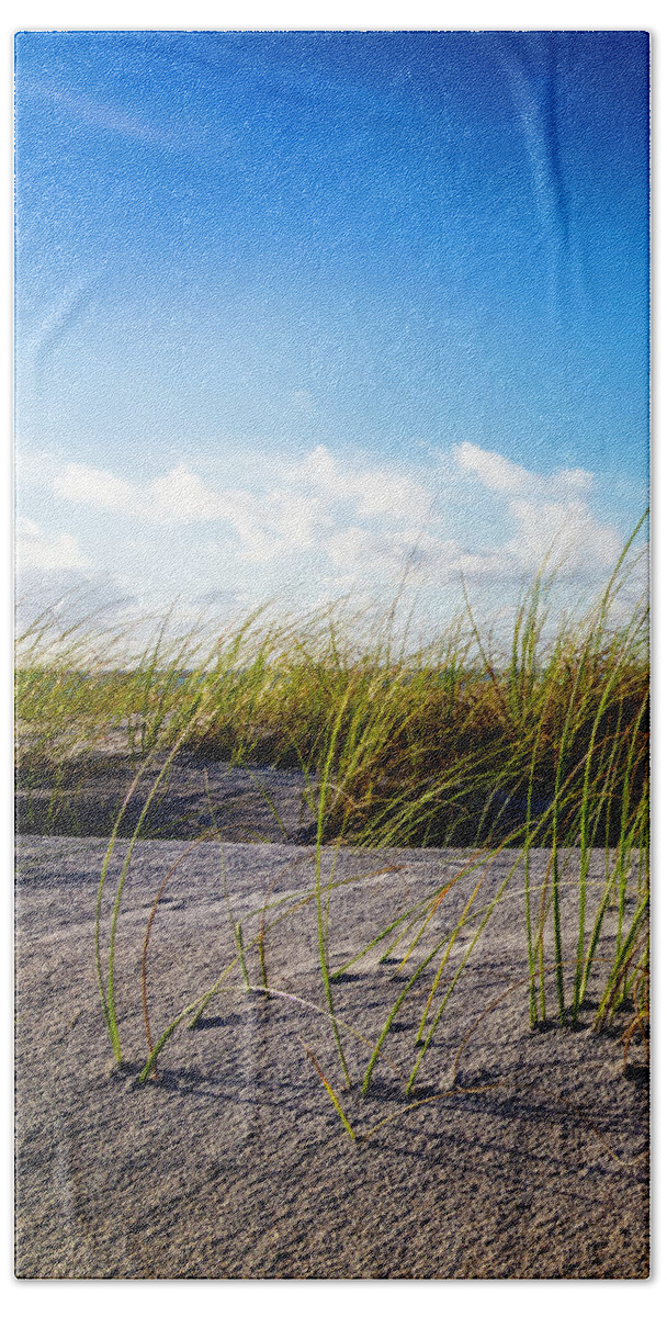 Clouds Beach Towel featuring the photograph Golden Dune Grasses I by Debra and Dave Vanderlaan