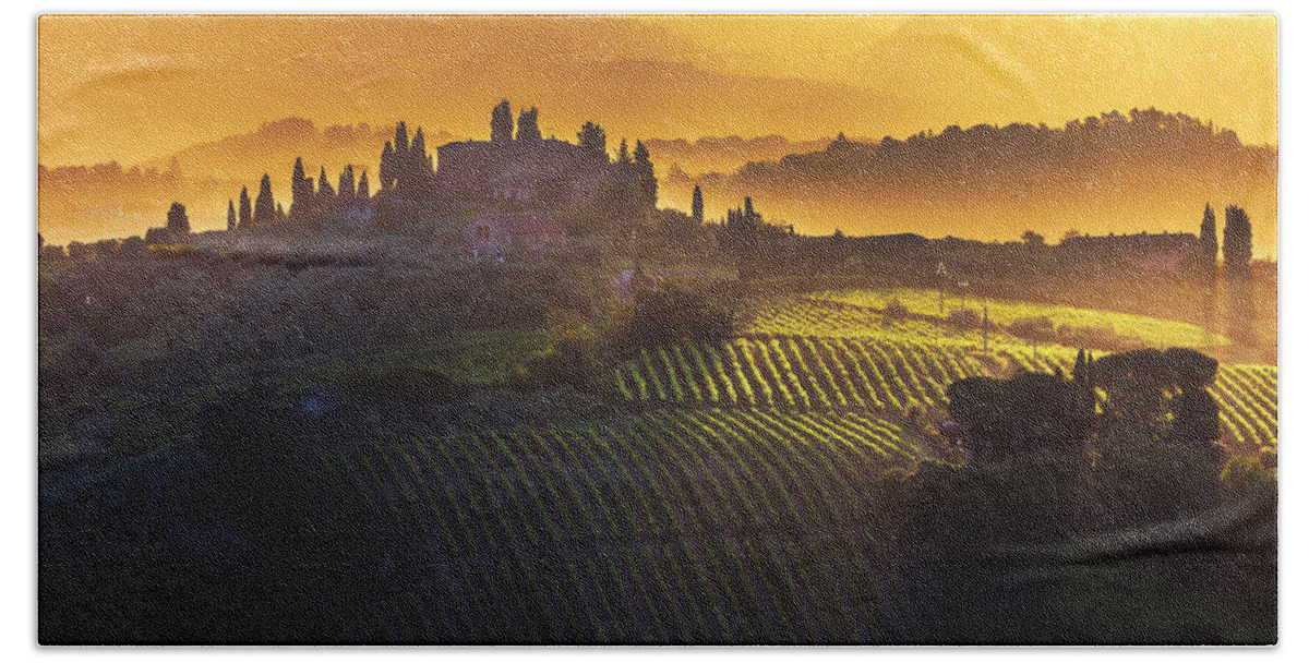 Italy Beach Towel featuring the photograph Golden Tuscany by Evgeni Dinev