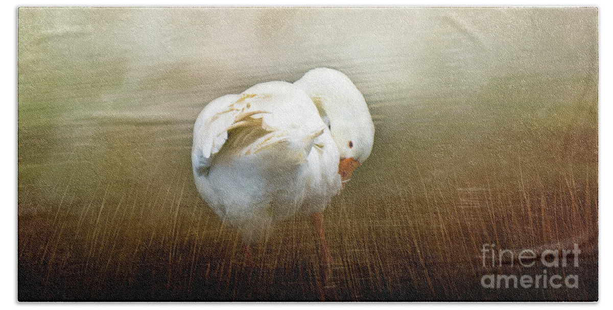 Goose Beach Towel featuring the photograph Goose with an Itch by Elaine Teague