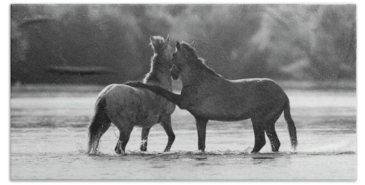 Salt River Wild Horses Beach Towel featuring the photograph Got Your Back by Shannon Hastings