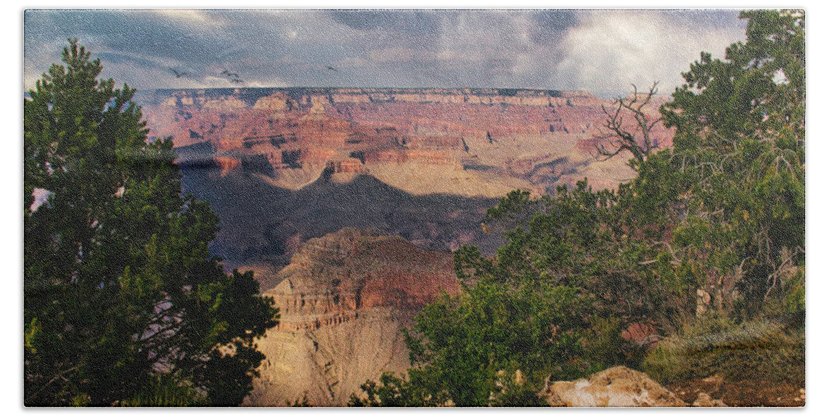 Grand Canyon Beach Towel featuring the photograph Grand Cayon by James Bethanis