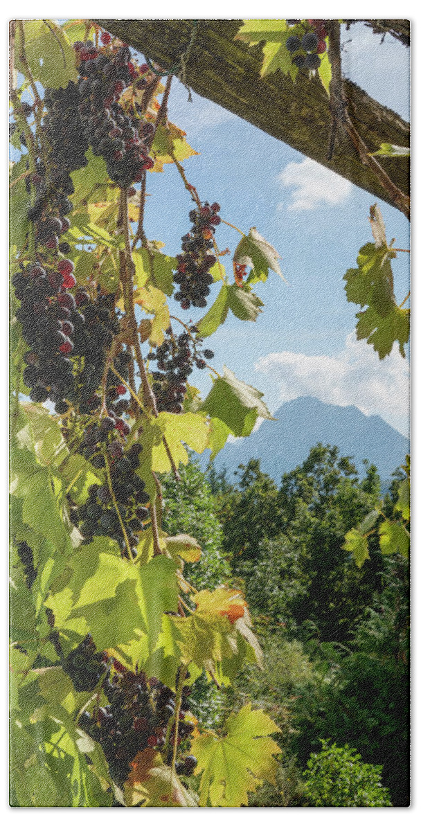 2021 Beach Towel featuring the photograph Grapes with a View by Brooke Bowdren