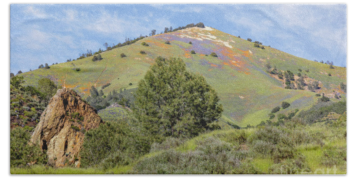 Grass Mountain Beach Towel featuring the photograph Grass Mountain Lupines and Poppies by Vivian Krug Cotton