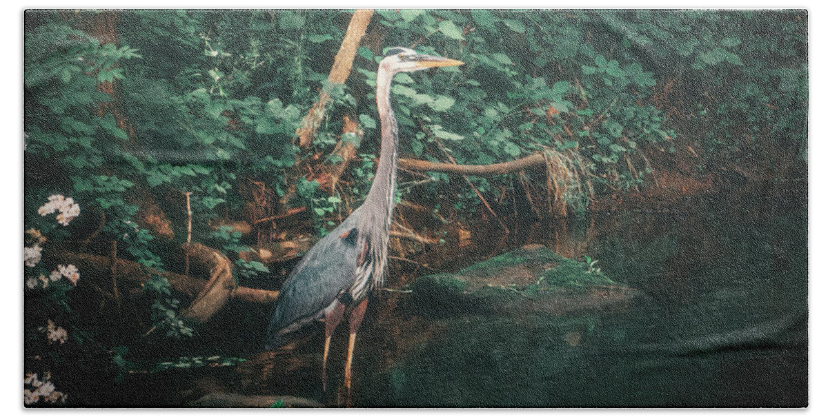Great Beach Towel featuring the photograph Great Blue Heron Emerald Reflections by Jason Fink