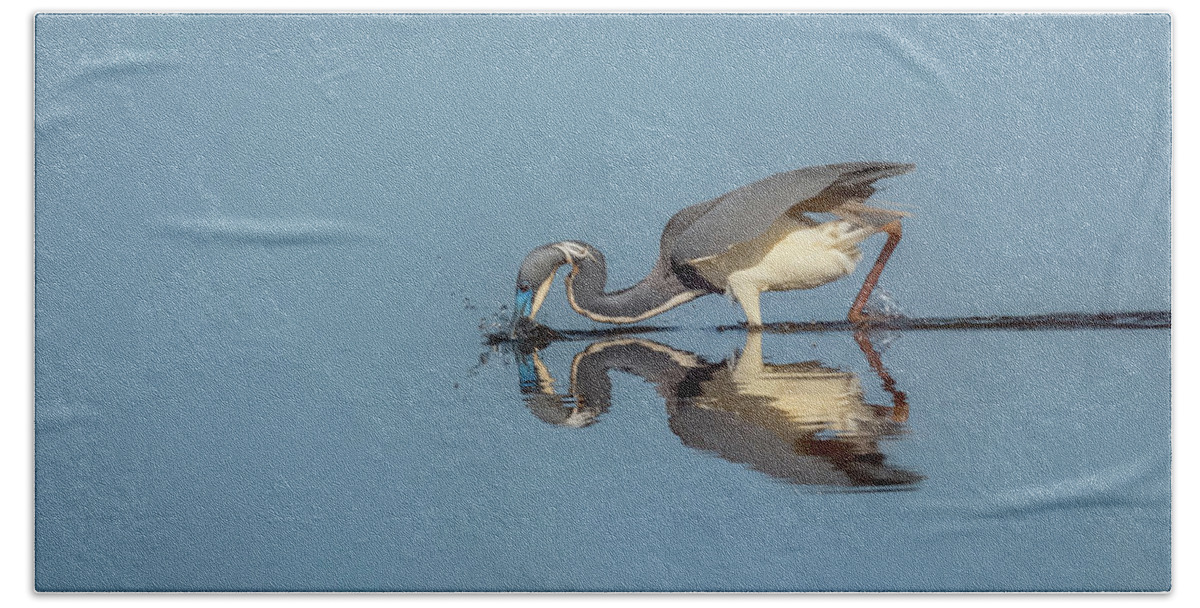 Great Blue Heron Beach Sheet featuring the photograph Great Blue Heron Getting Breakfast by Dorothy Cunningham