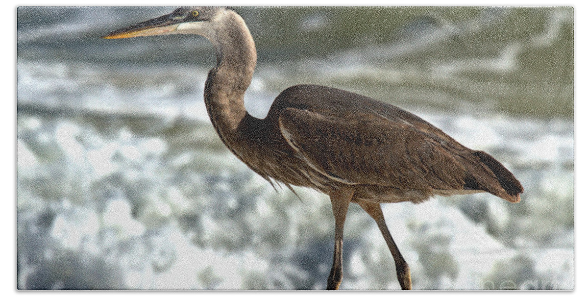 Great Beach Towel featuring the photograph Great Blue Heron Walking Along The Surf by Adam Jewell