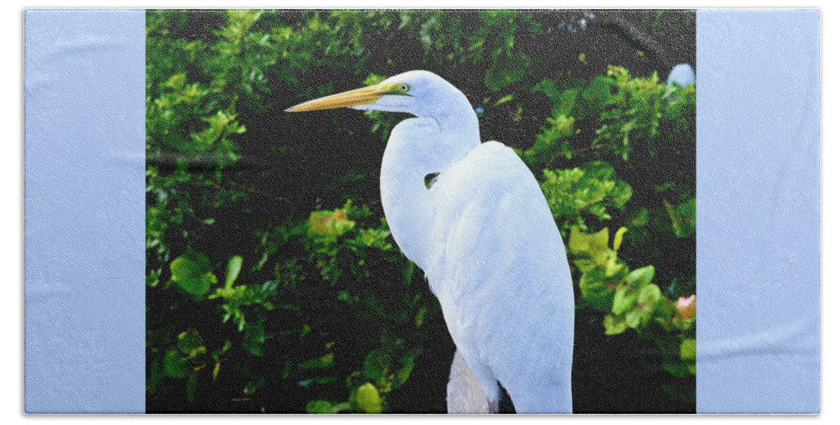 Great Egret Beauty Beach Towel featuring the photograph Great Egret Beauty by Warren Thompson