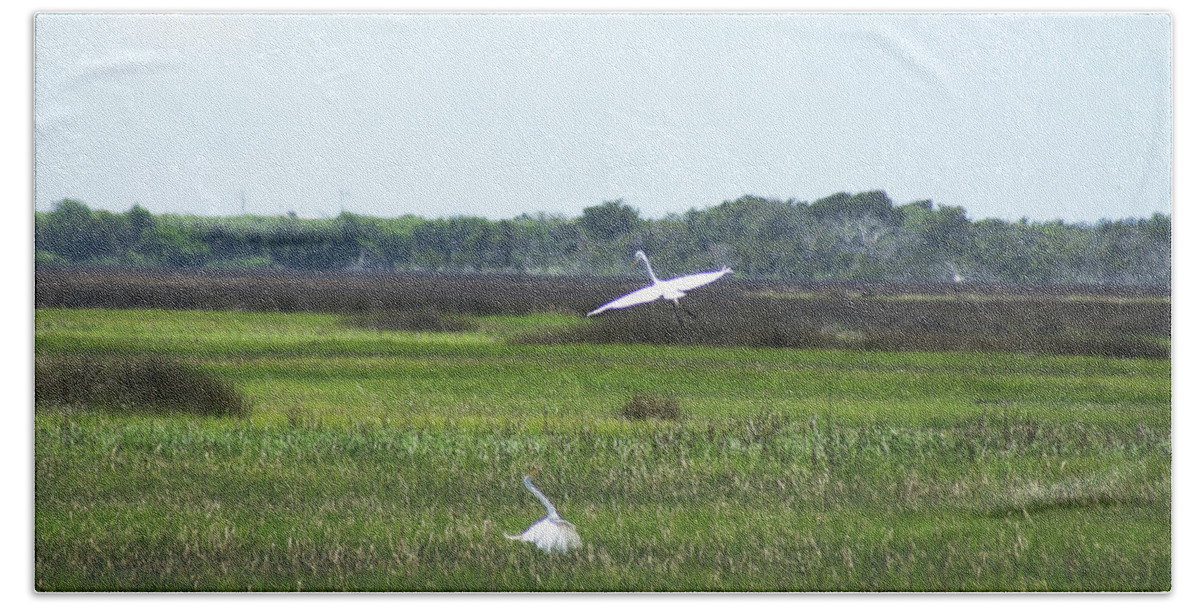  Beach Towel featuring the photograph Great Egrets by Heather E Harman