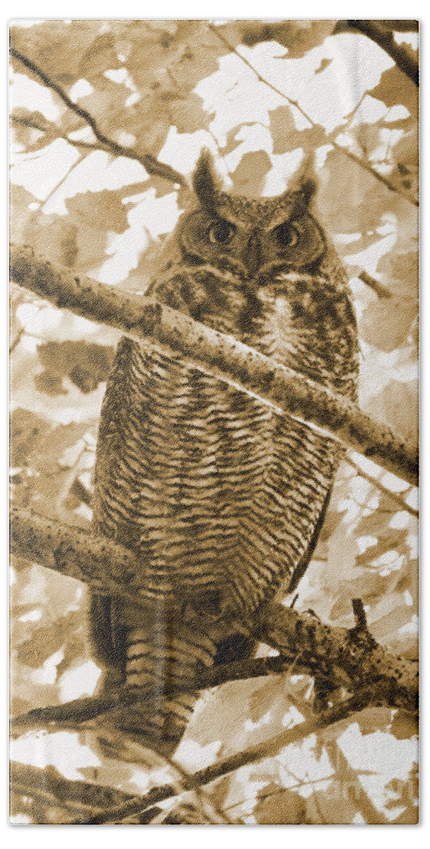 Owl Beach Towel featuring the photograph Great Horned Owl in Tree - Sepia by Carol Groenen