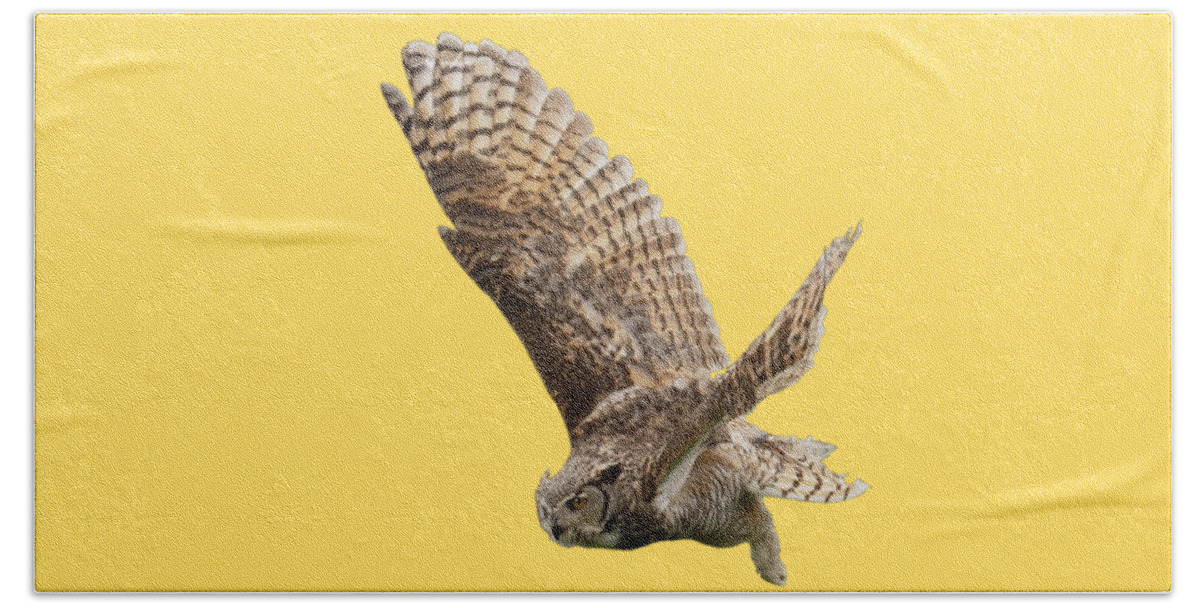 Great Horned Owl Beach Towel featuring the mixed media Great Horned Owl Sans Background by Judy Cuddehe