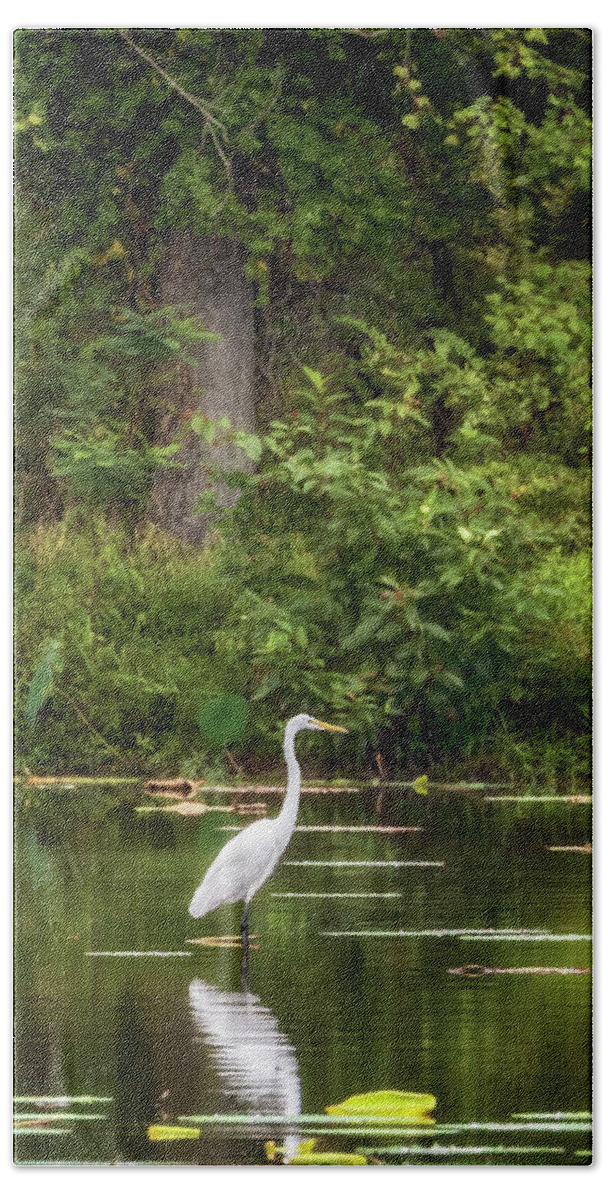 Great Egret Beach Towel featuring the photograph Great White Egret - Crab Orchard Lake by Susan Rissi Tregoning