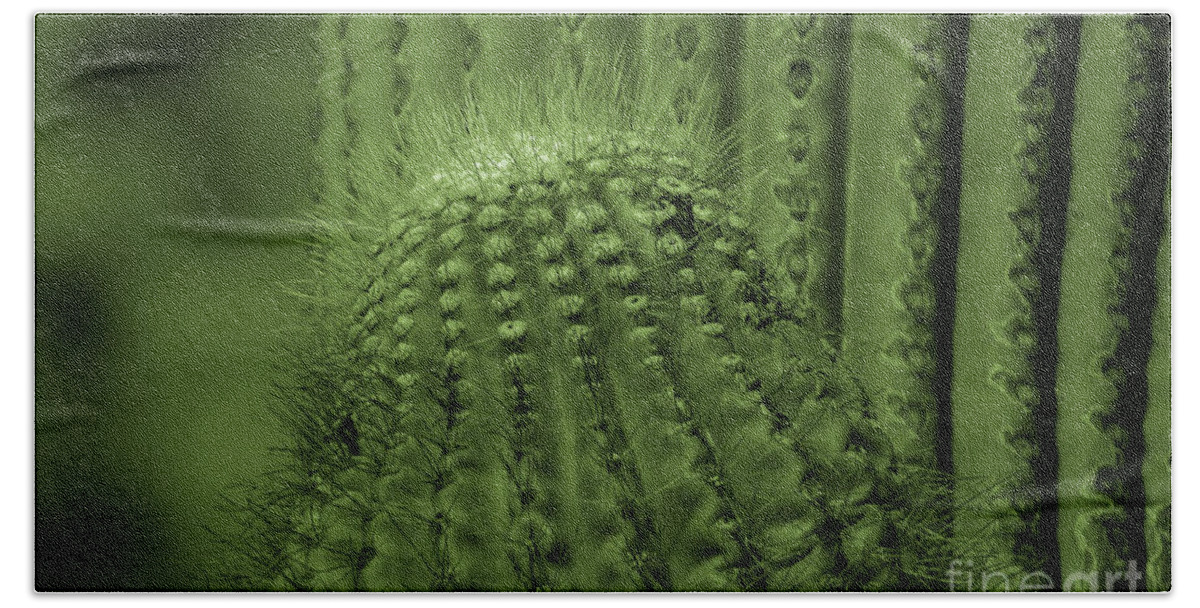 Plants Beach Towel featuring the photograph Green Cactus by Mary Mikawoz