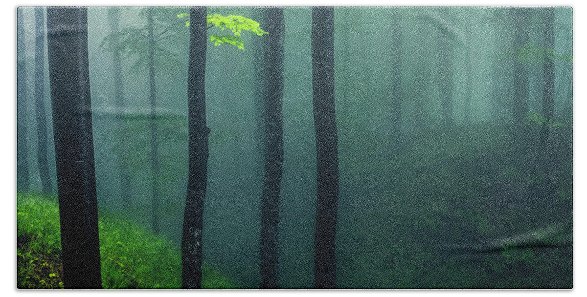 Balkan Mountains Beach Towel featuring the photograph Green Mist by Evgeni Dinev