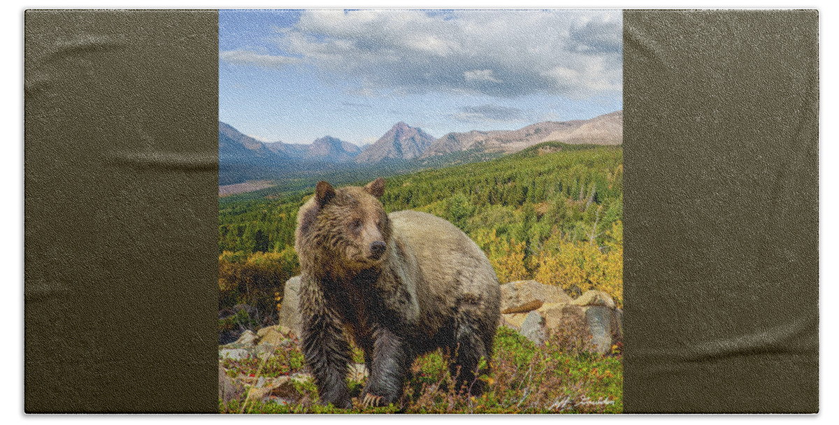 Adult Beach Towel featuring the photograph Grizzly Bear in Glacier National Park by Jeff Goulden
