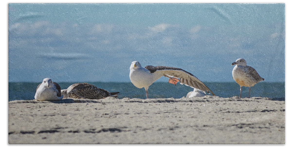 Sea Beach Towel featuring the photograph Gull Yoga by Steven Nelson