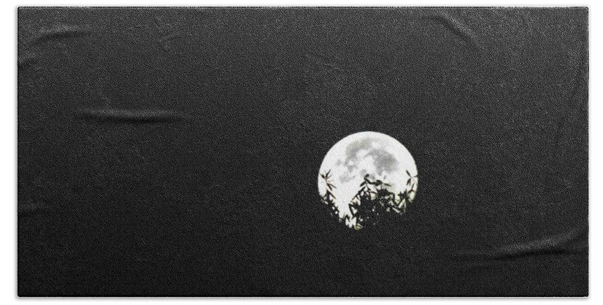 Halloween Beach Towel featuring the photograph Halloween Moon Theme by Ed Williams