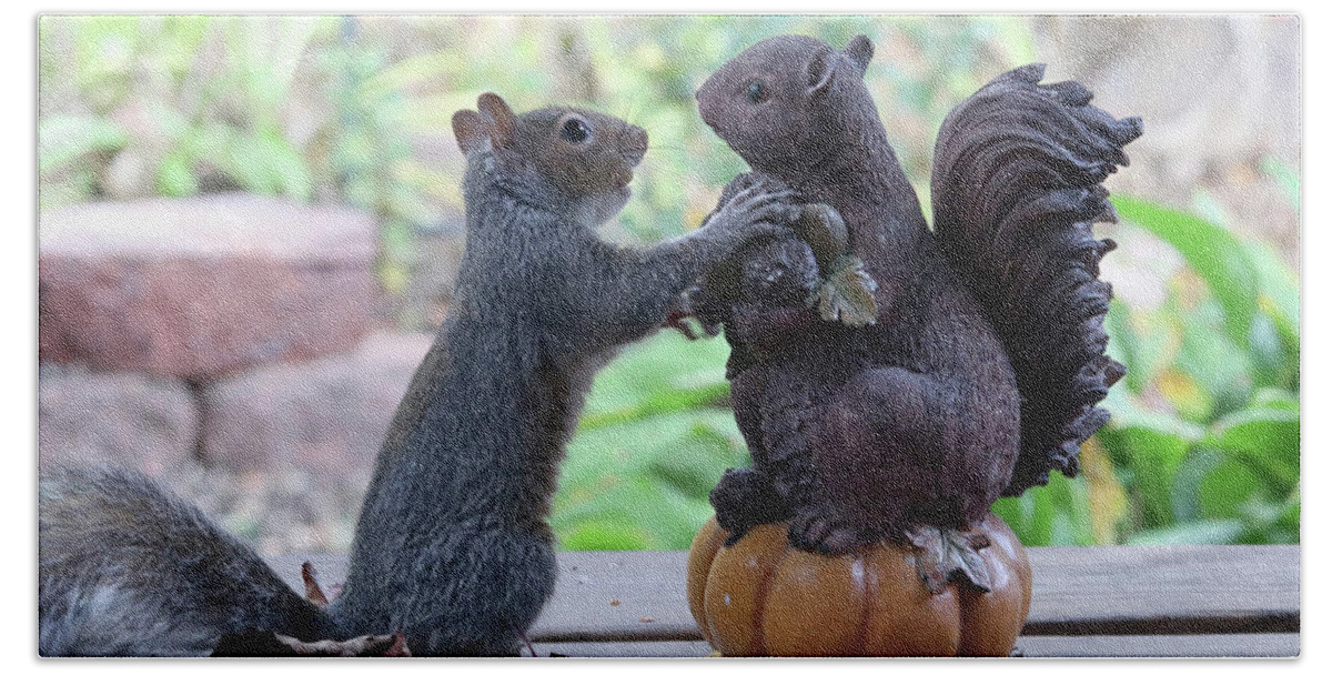 Squirrels Beach Towel featuring the photograph Hand Over a Nut Please by Trina Ansel
