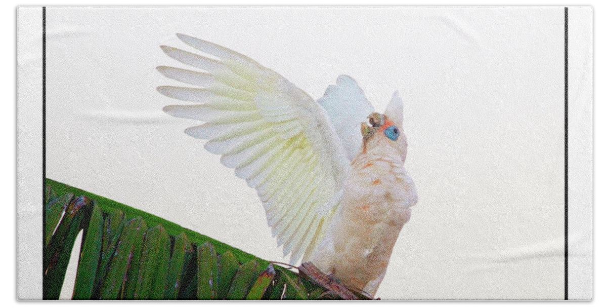 Corella Beach Towel featuring the photograph Happy Corella 2 by Russell Brown