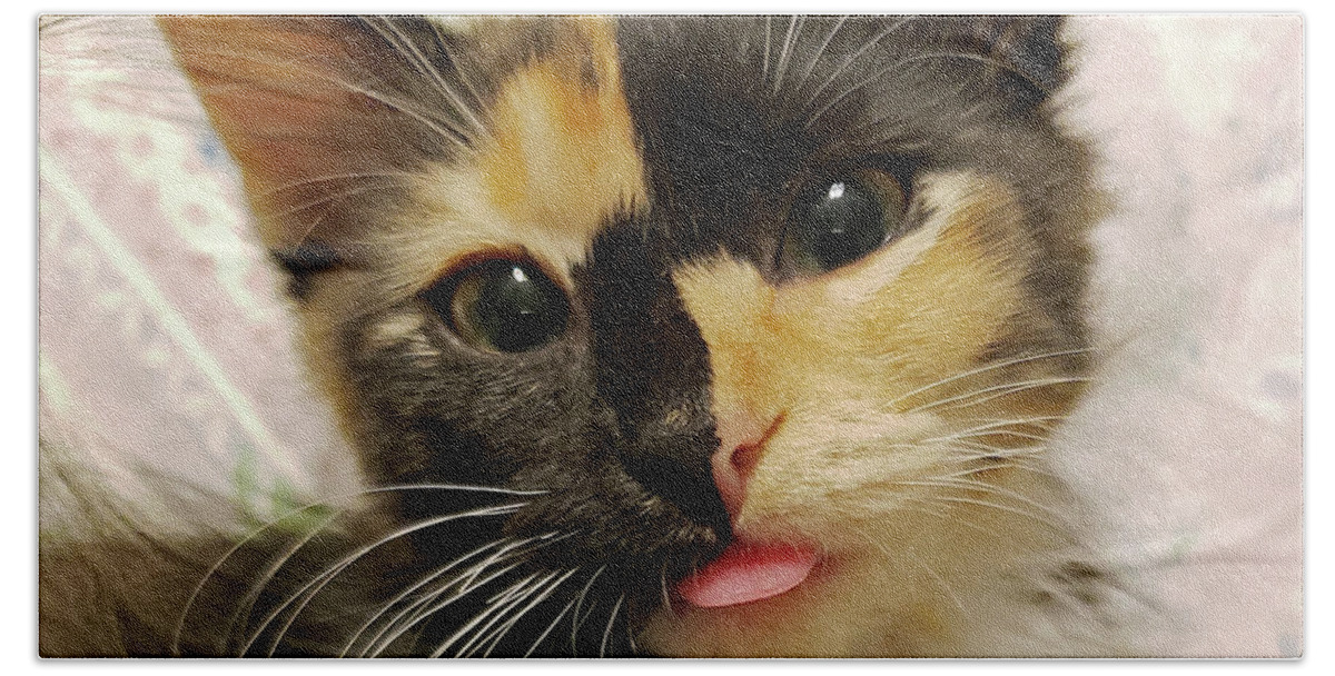 Kitten; Cute Kitten; Cat; Cute Cat; Tortoiseshell; Calico; Cute; Animal; Pet; Funny; Tongue; Silly; Happy; Square Beach Towel featuring the photograph Harlequin by Tina Uihlein