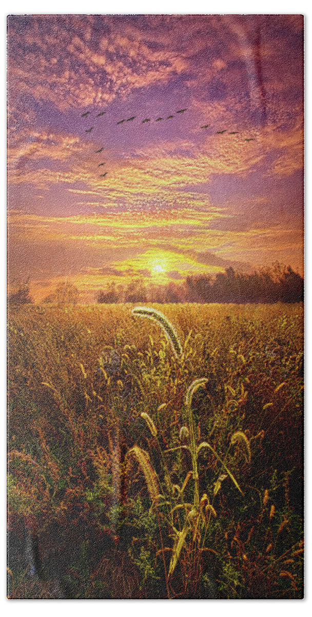 Life Beach Towel featuring the photograph Have Faith in the Small Things by Phil Koch