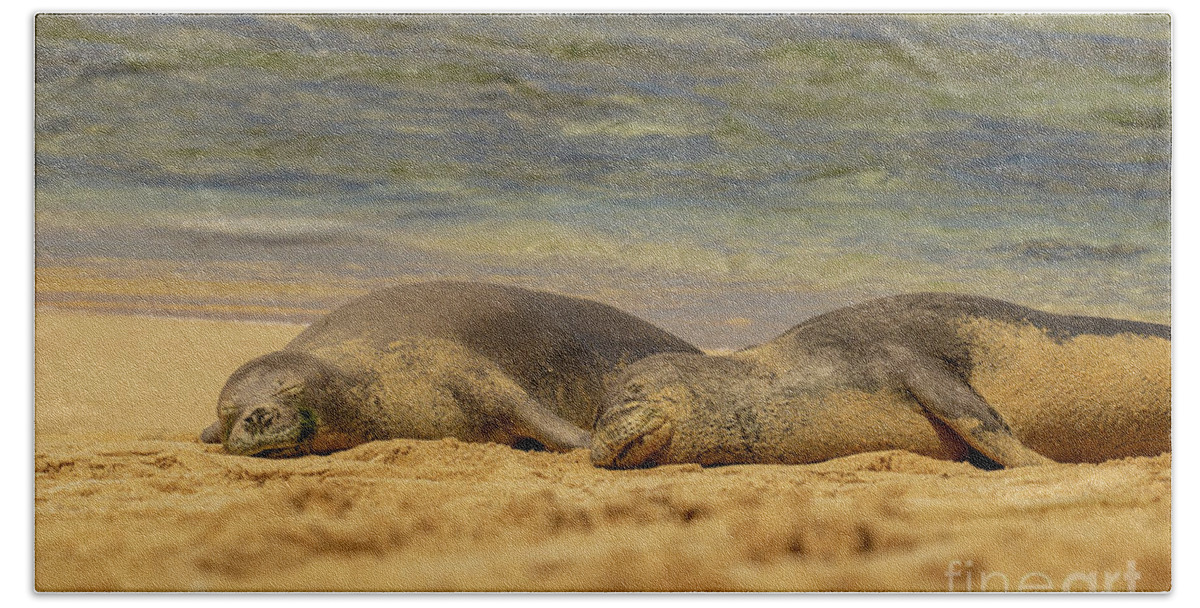 Animal Beach Towel featuring the photograph Hawaiian Monk Seals Napping on the Beach by Nancy Gleason