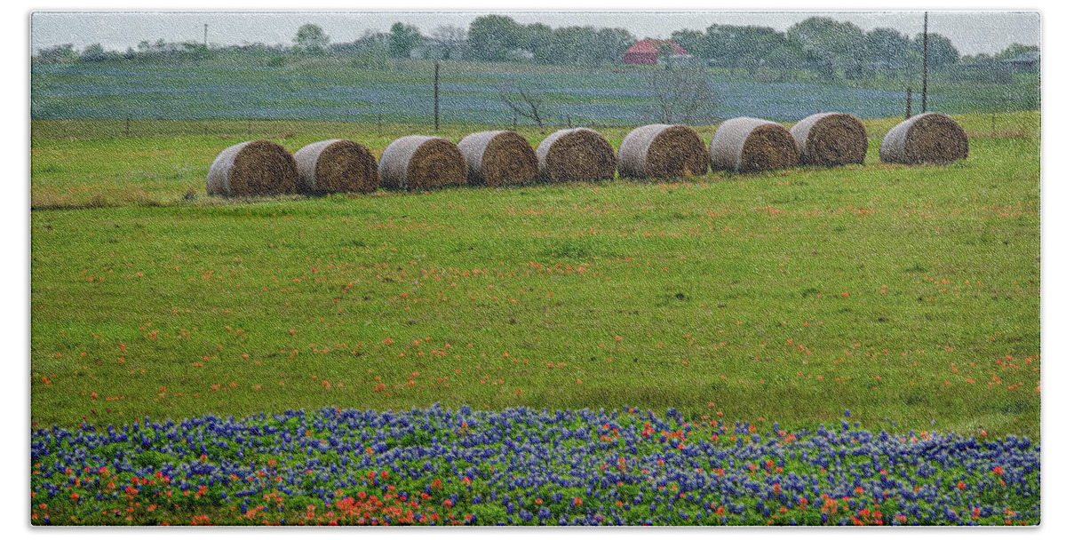 Texas Bluebonnets Beach Towel featuring the photograph Hay Bales and Blues by Johnny Boyd