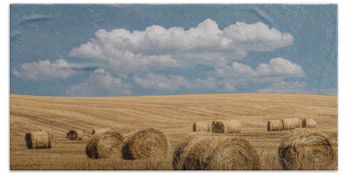 Art Beach Towel featuring the photograph Hay Bales of Straw during Summer in a Harvest Field by Randall Nyhof