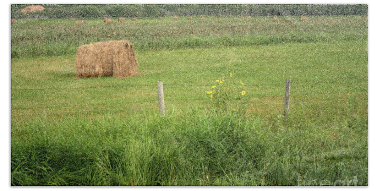 Nature Beach Towel featuring the photograph Hay Field by Mary Mikawoz