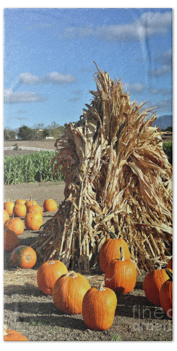 Hay Stack Beach Towel featuring the photograph Hay Stack and Pumpkins by Vivian Krug Cotton